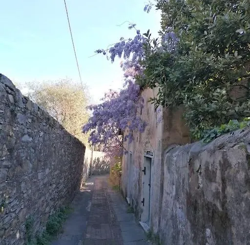 Overlooking * Генуя