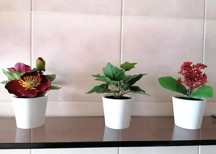 Overlooking جنوة